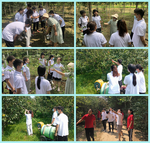 1629246338374063.jpg 555.jpg