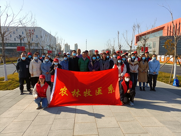 1637911946761158.jpg 5.jpg