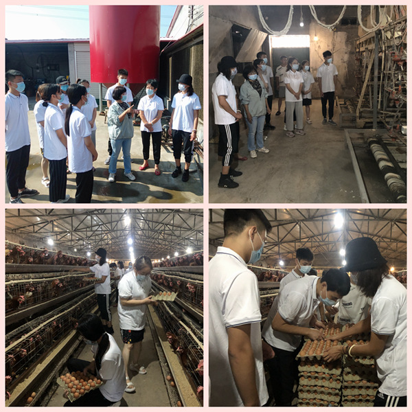 1628848391562646.jpg 2.jpg