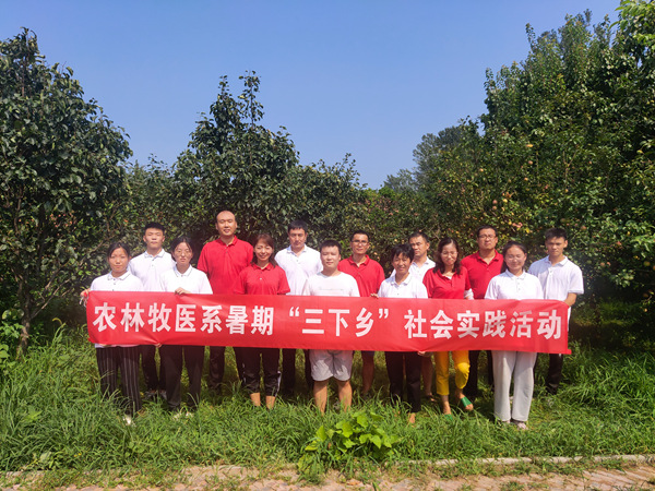 1629246327248864.jpg 444.jpg