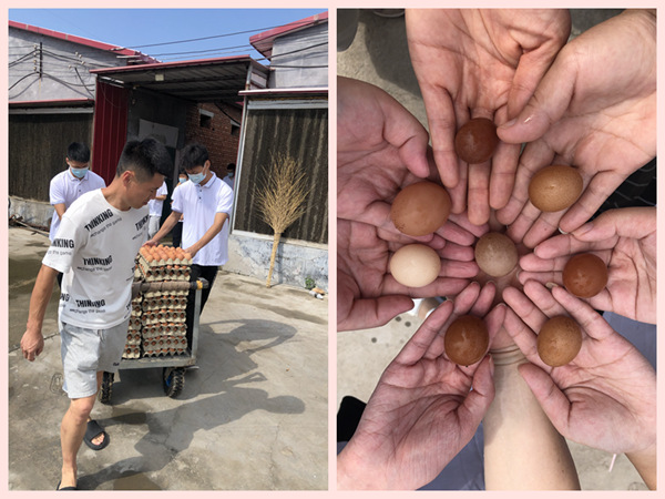 1628848400386916.jpg 3.jpg